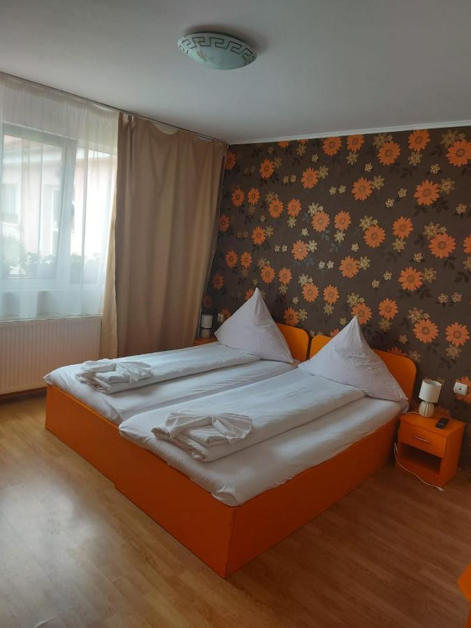 Pensiunea Gheorghita Haţeg Zewnętrze zdjęcie